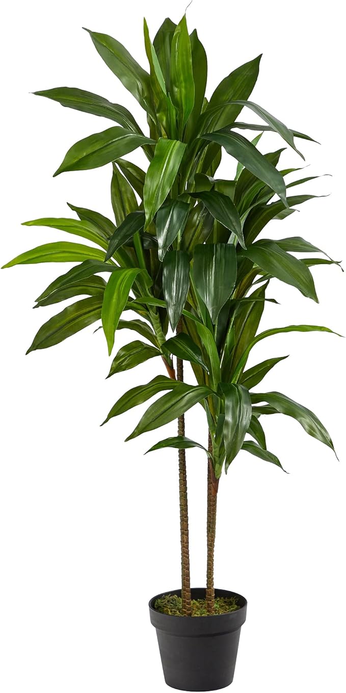 Nearly Natural 48in Artificial Dracaena with Real Touch Leaves and Multi Tonal Trunks