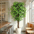 7ft Large Ficus Artificial Trees with Natural Curved Trunks